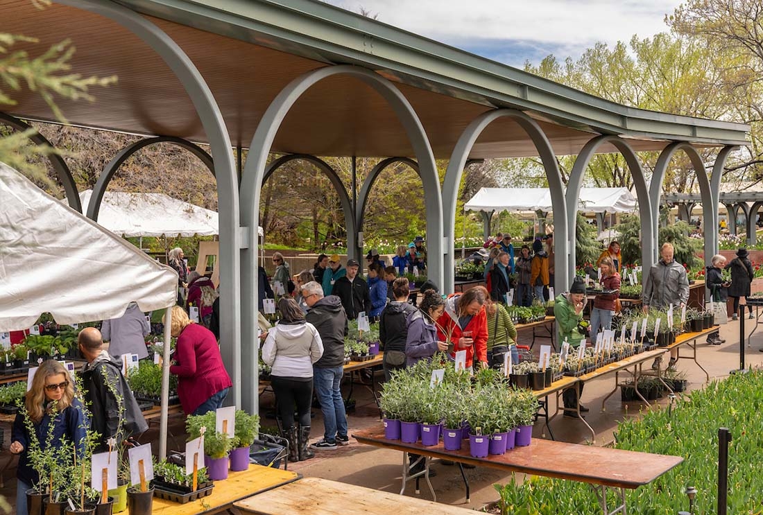Annuals Pavilion filled with Spring Plant Sale inventory