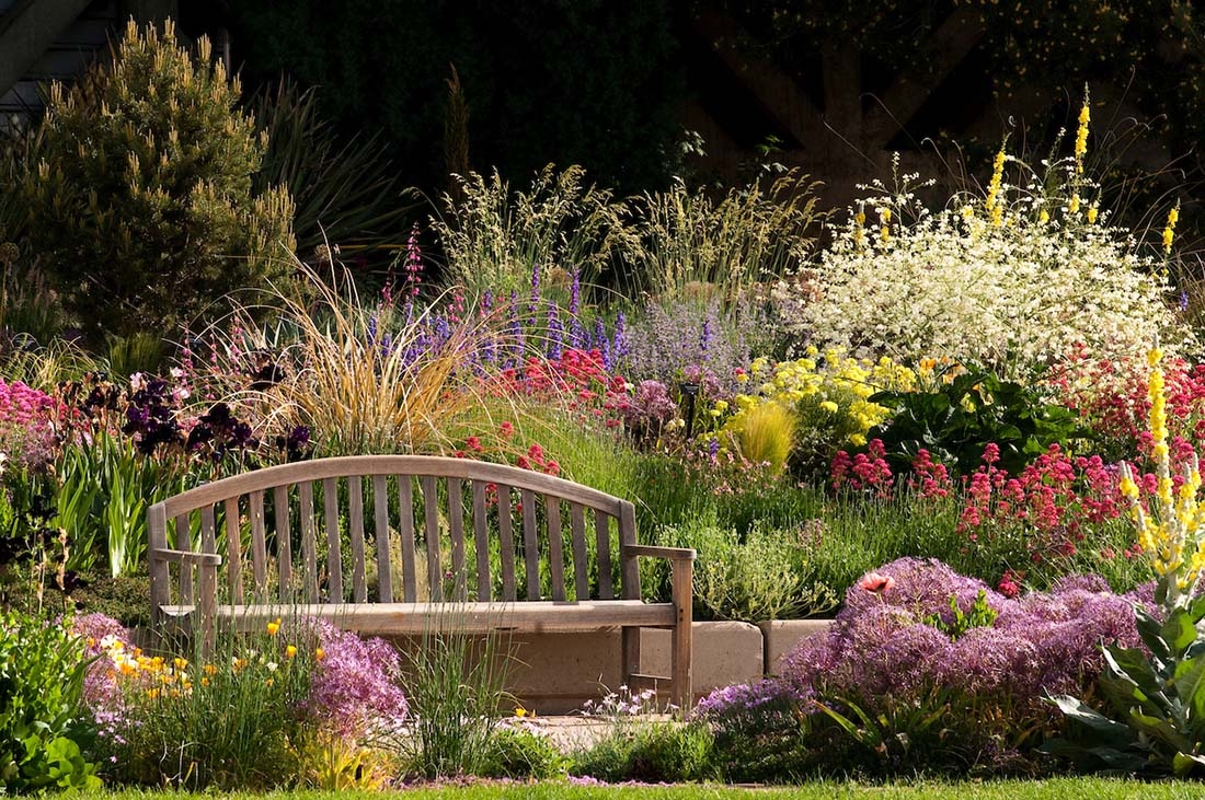 Water-Smart Garden in full bloom