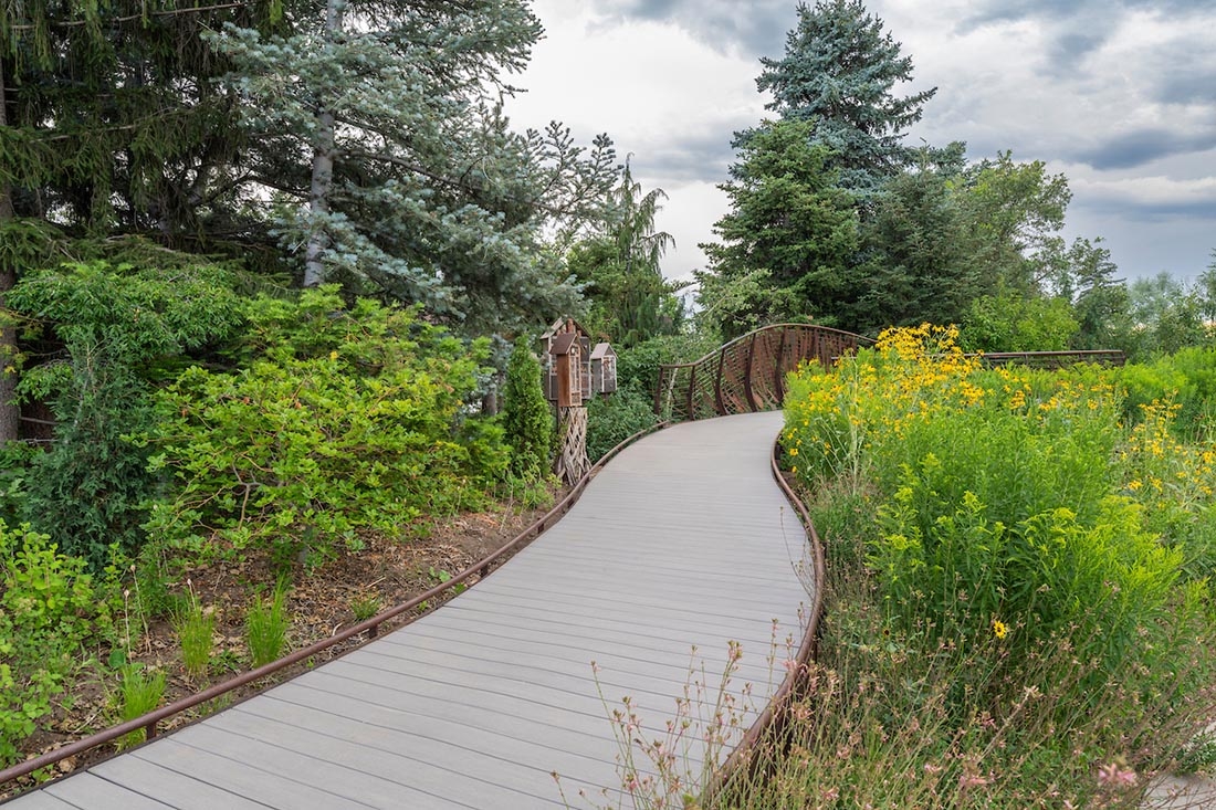 path winding through pollinator garden