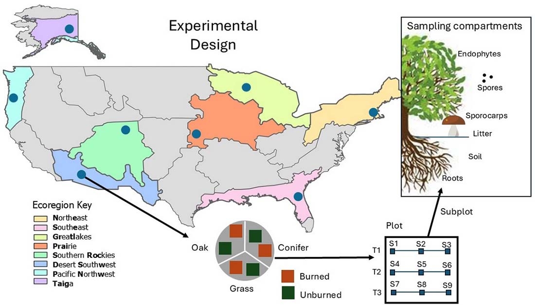 ecoregion map