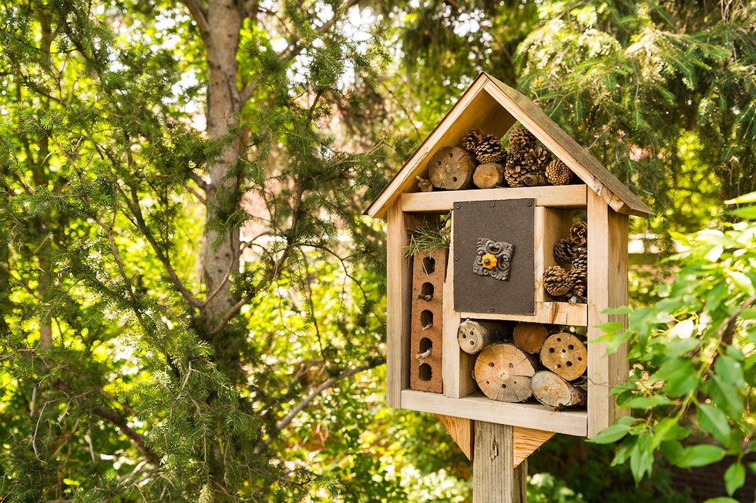 bee hotel