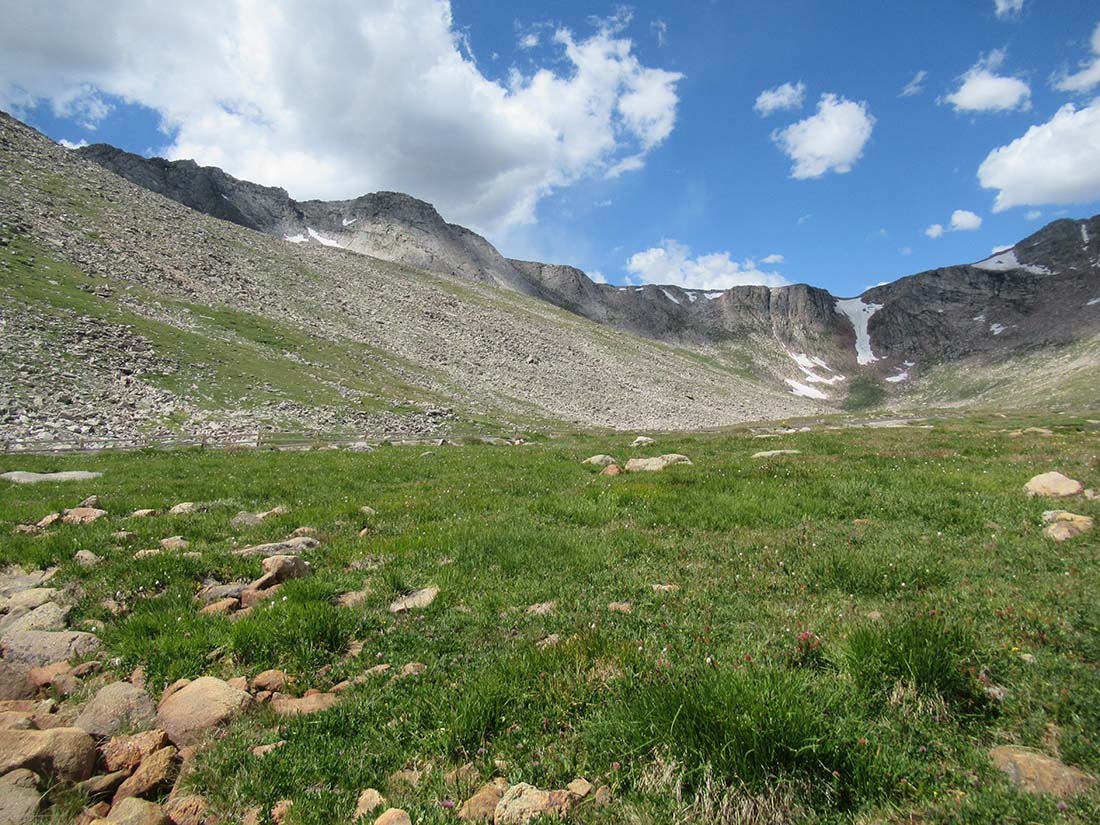 mountain valley and meadow
