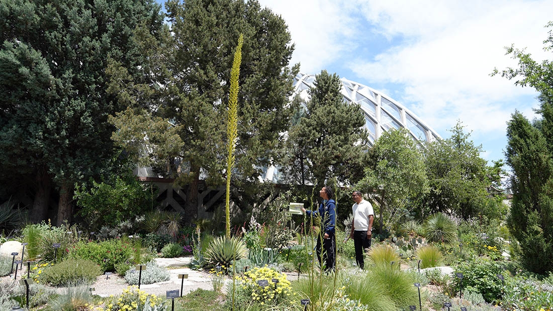 Utah agave and two people standing in front of the conservatory