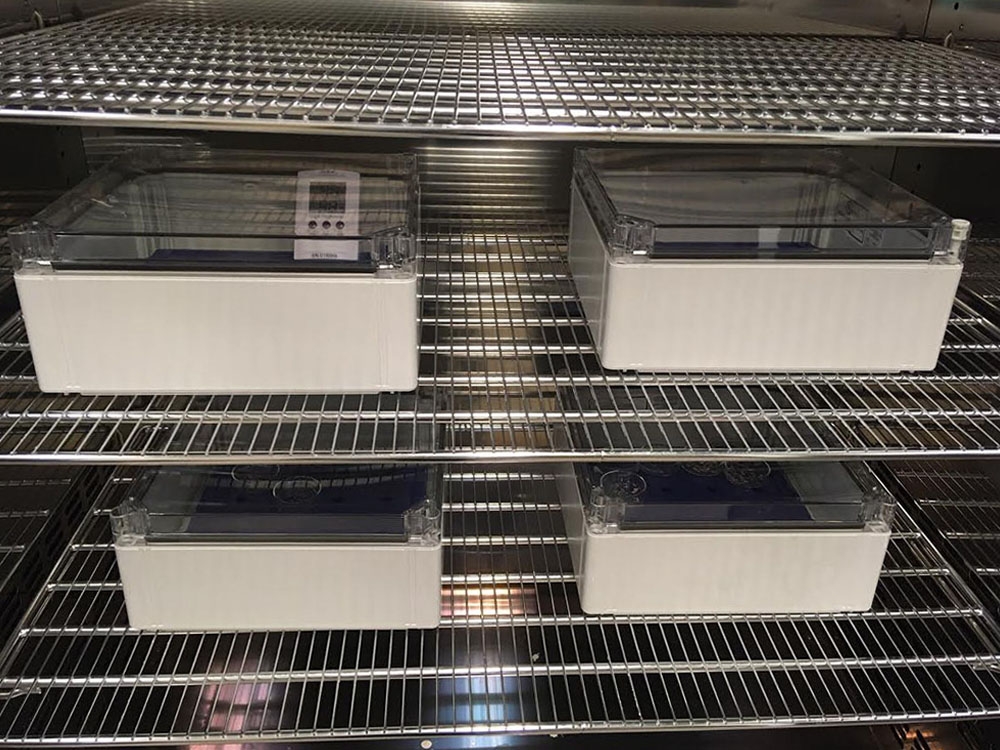 Ageing boxes in oven