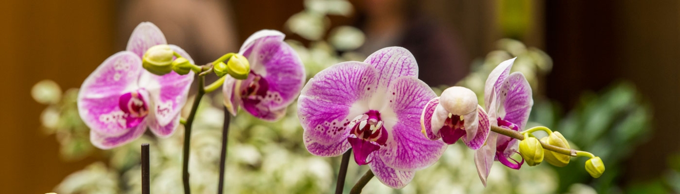 Family Workshop at Plains Conservation Center