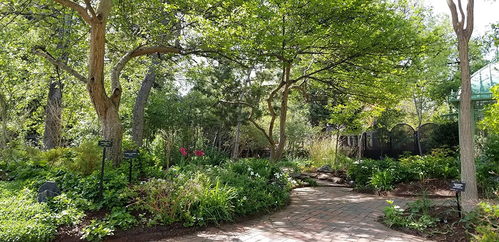 Woodland Mosaic