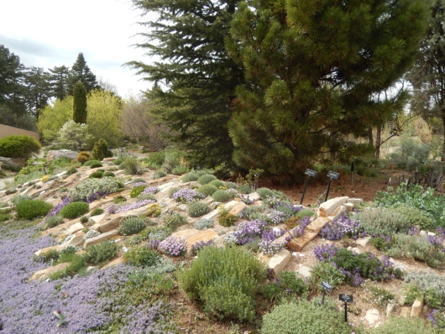 alpine collection gallery 2