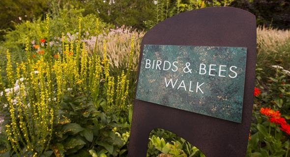 Birds and Bees Walk
