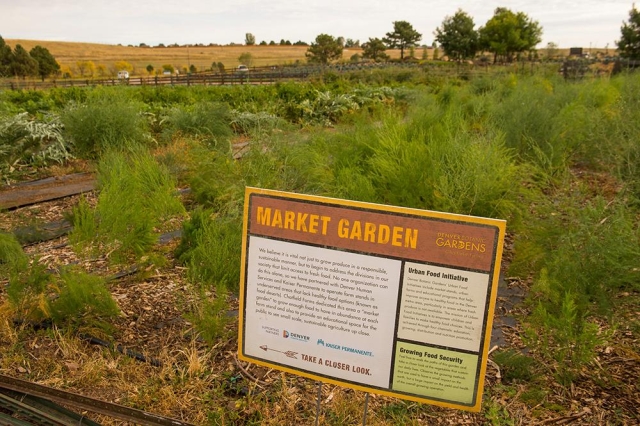 Market Garden