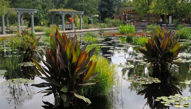 Monet Pool