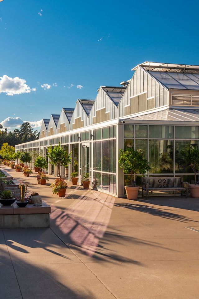 The orangery during the day