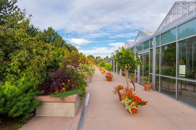 A walking path outside the orangery