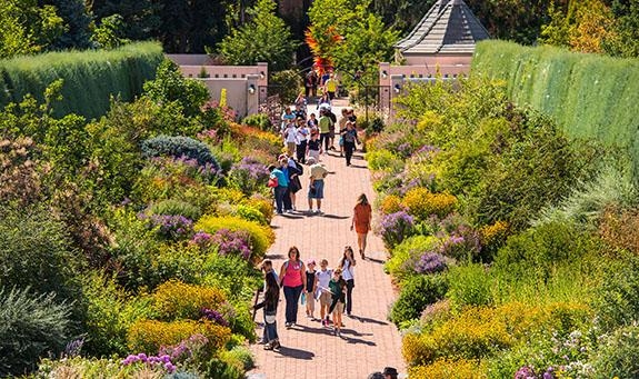 O'Fallon Perennial Walk