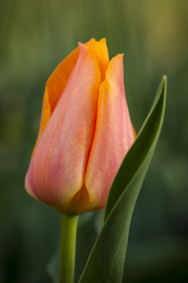 seasonal_discoveries_gallery_2_updated.jpg