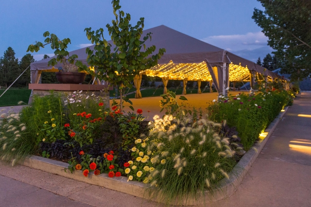 An image of the amphitheater set up at night
