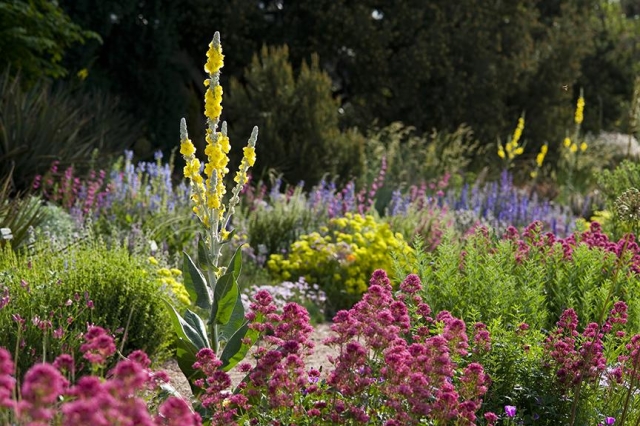 Roads Water-Smart Garden