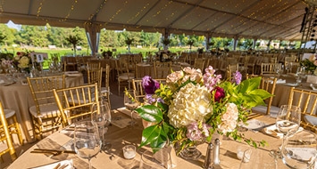 Amphitheater Tent