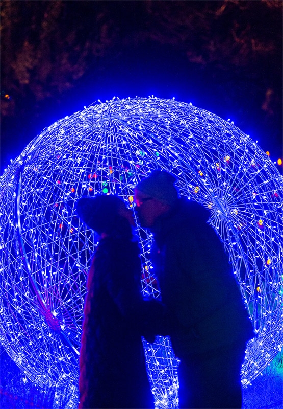 Blossoms of Light