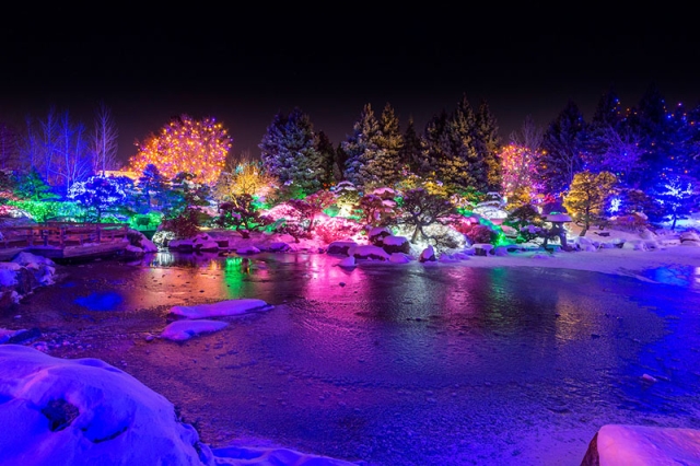 Monet Pool