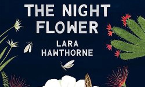night flower thumbnail