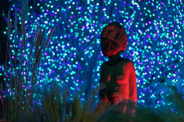 Blossoms of Light