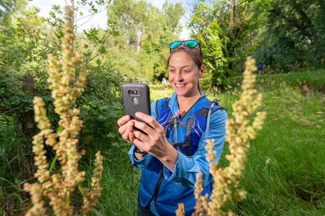bioblitz