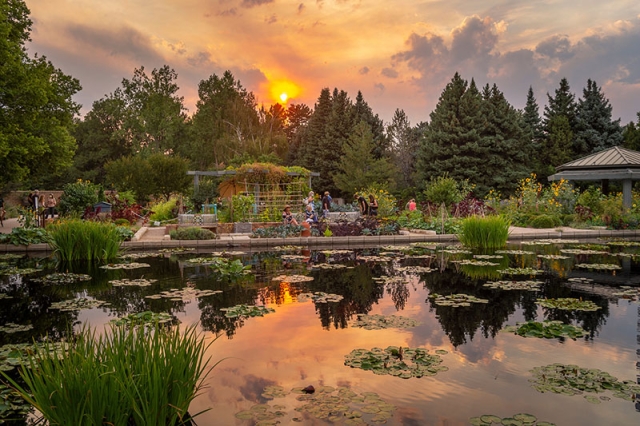 Monet Pool