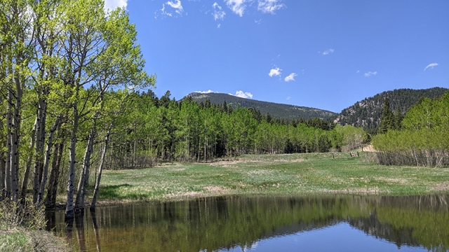 Axton Ranch