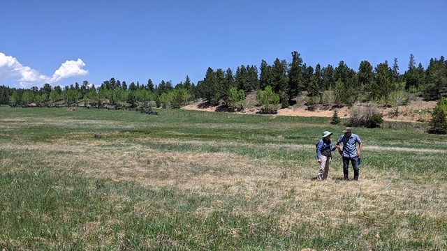 On Axton Ranch