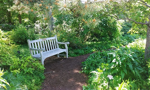 One of Shady Lane's inviting benches thumbnail