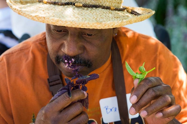 sensory garden
