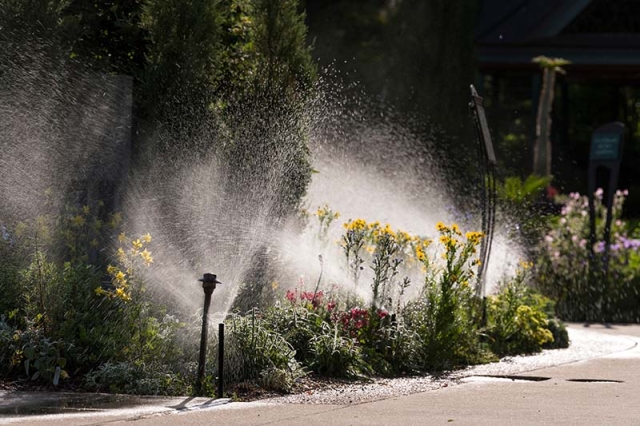 sprinkler