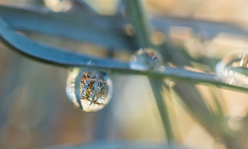 water drop thumbnail