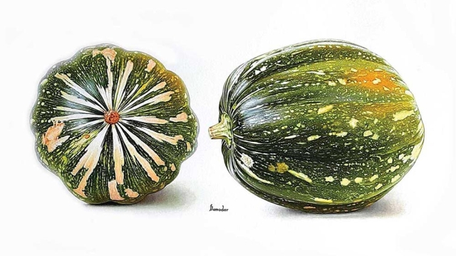 Damodar Gurjar, “Pumpkin,” tempera on paper, 2020. Damodar Gurjar, “Pumpkin,” tempera on paper, 2020.