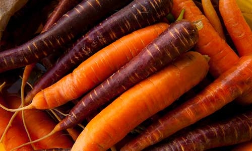 close-up of carrots