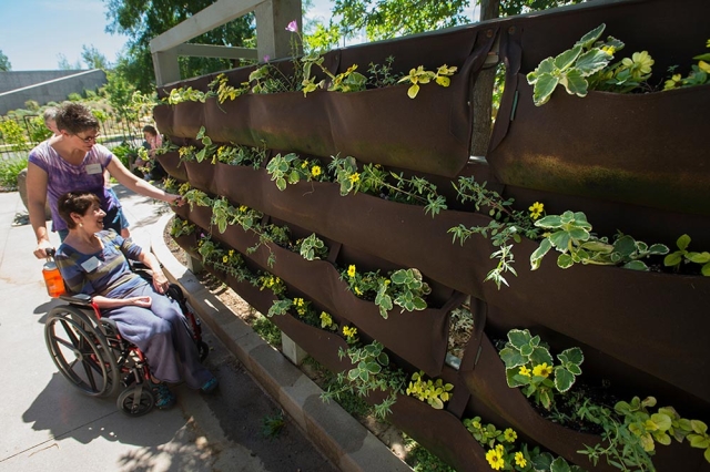 Therapeutic horticulture Therapeutic horticulture