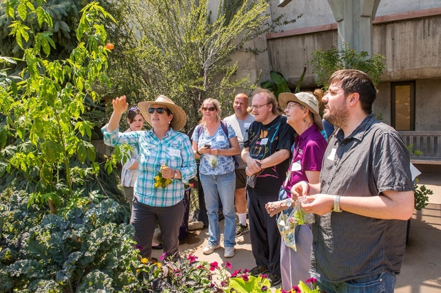 Therapeutic horticulture Therapeutic horticulture