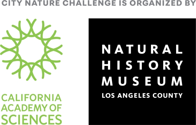 City Nature Challenge organized by logo