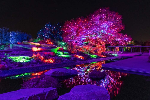 Blossoms Light | Denver Botanic Gardens