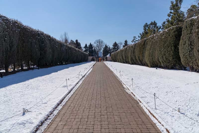 perennial walkway
