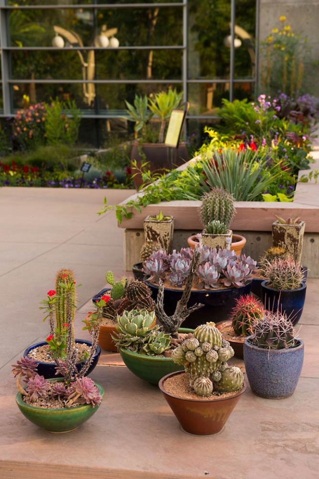 plants plants