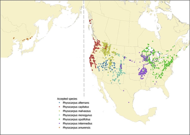 Composite map