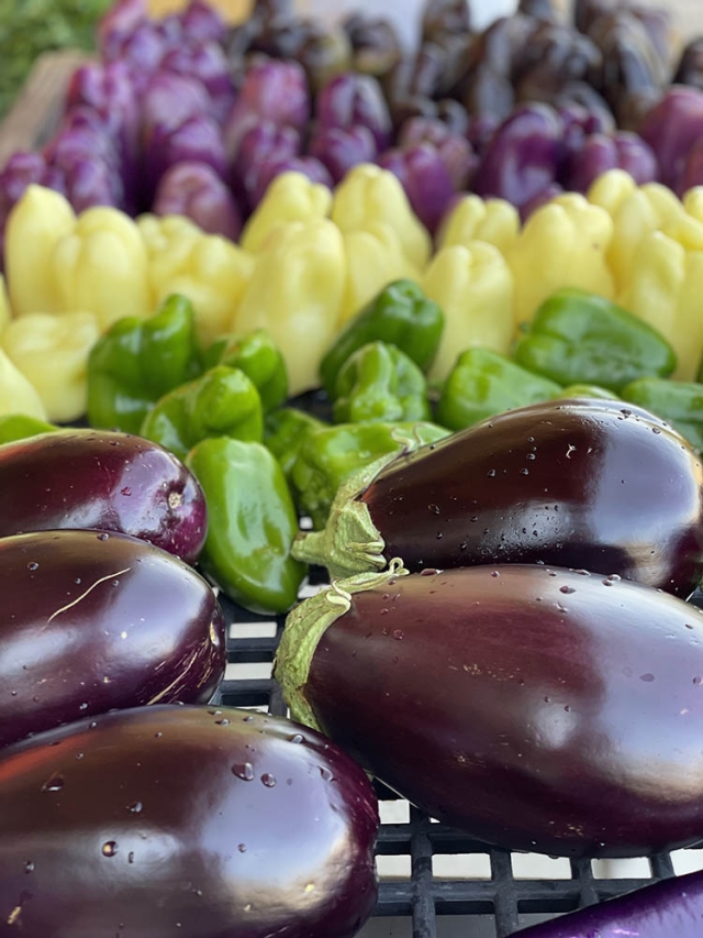 eggplant