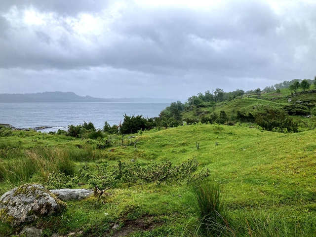 Heathland