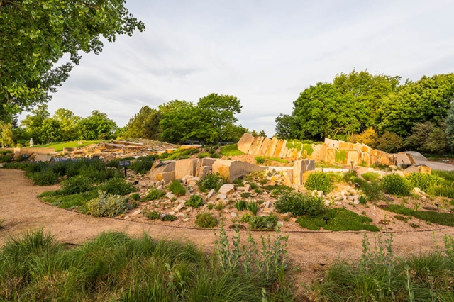 Steppe Garden