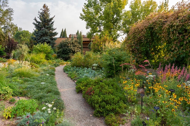 Garden Near Hive