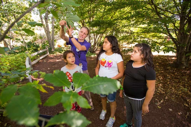 Adult and children outside studying a leaf Adult and children outside studying a leaf
