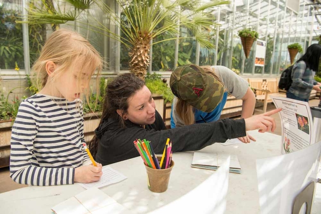 Two children and an adult in the Orangery looking at a card with information. Two children and an adult in the Orangery looking at a card with information.