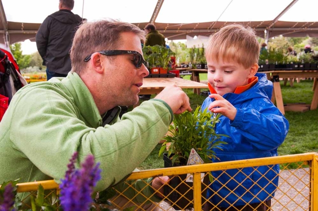 Toddler and Preschool Programs gallery Adult and toddler at Spring Plant Sale, pointing at plant