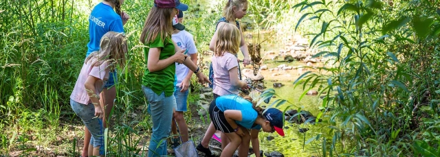 Girl Scout Cadettes, Seniors and Ambassadors: Hydro Heroes